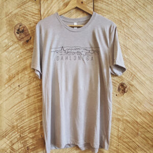 DAH Skyline Tee :: Gray