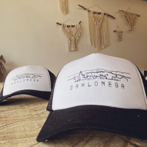 DAH Skyline Mesh-Back Hat